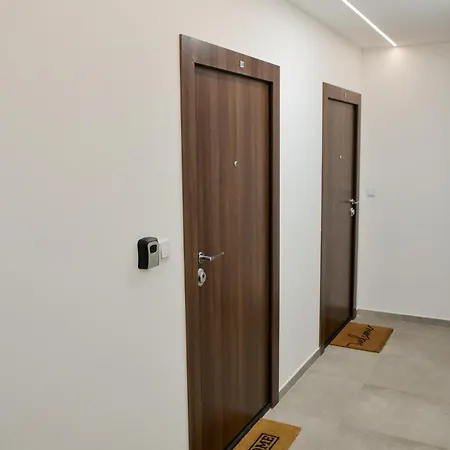 New Nest - Center *